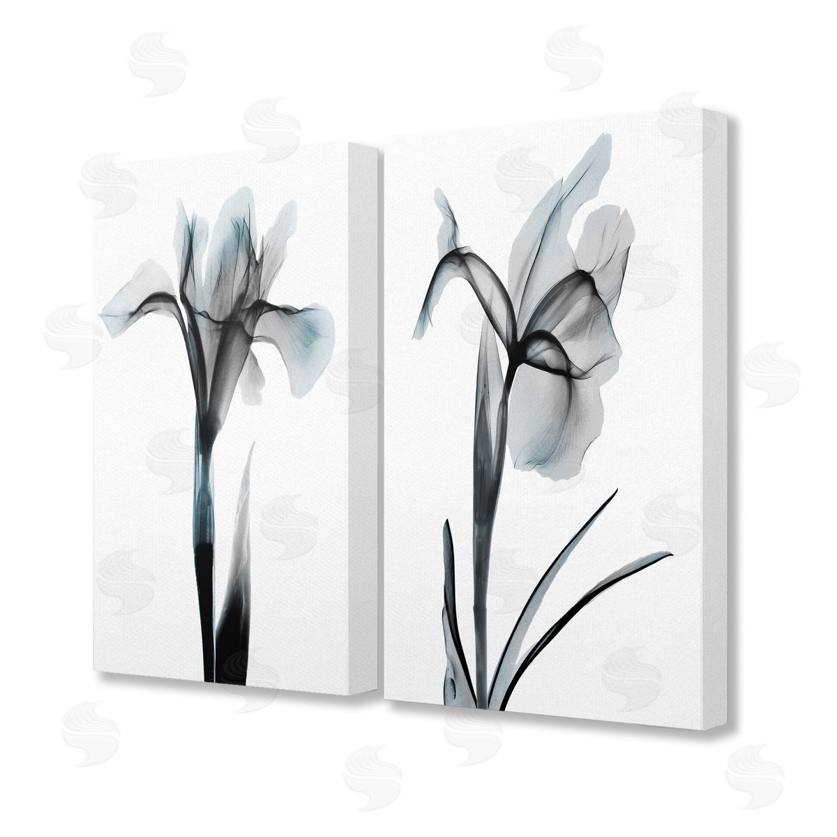 Albert Koetsier Contrast Black & Blue Flowers Canvas Wall Art Print