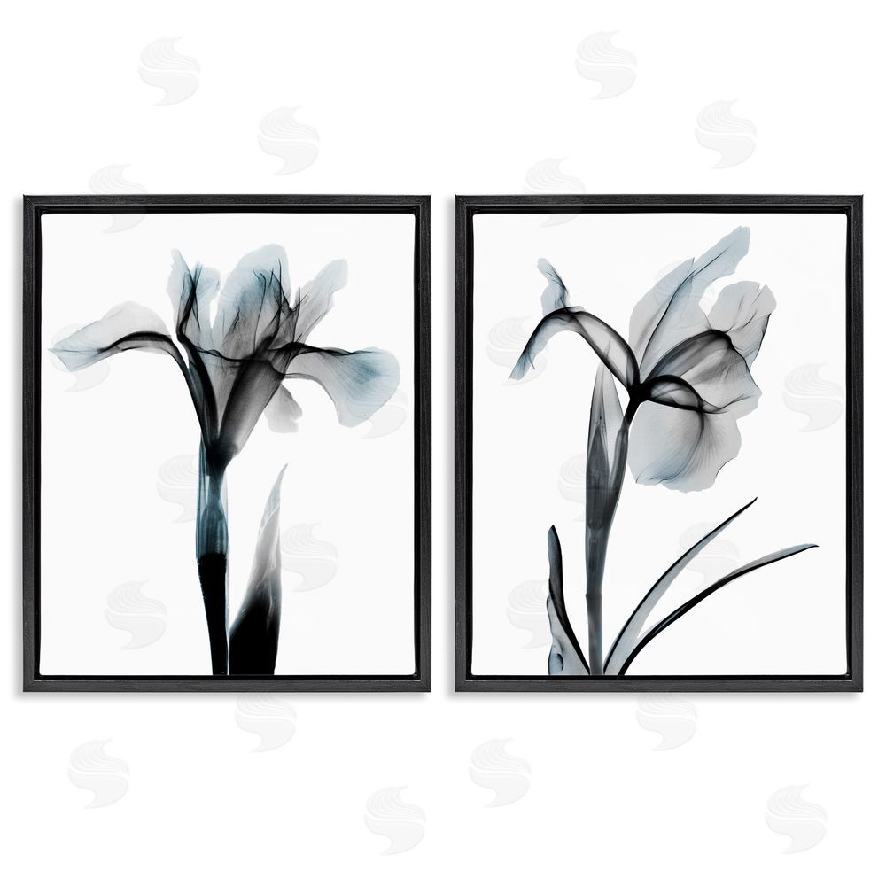 Albert Koetsier Contrast Black & Blue Flowers Black Floating Frame Canvas Wall Art Print