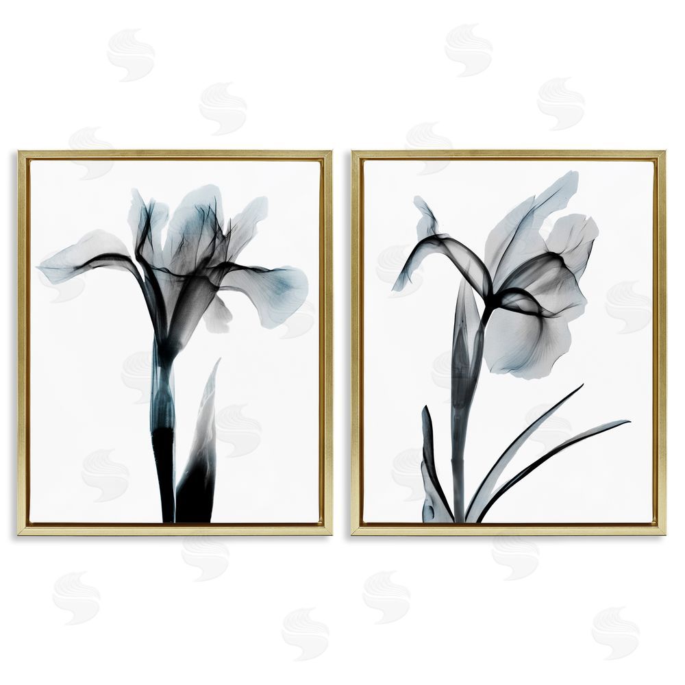 Albert Koetsier Contrast Black & Blue Flowers Gold Floating Frame Canvas Wall Art Print