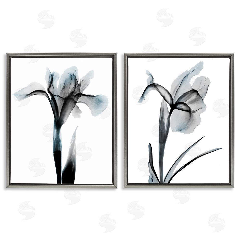 Albert Koetsier Contrast Black & Blue Flowers Gray Floating Frame Canvas Wall Art Print