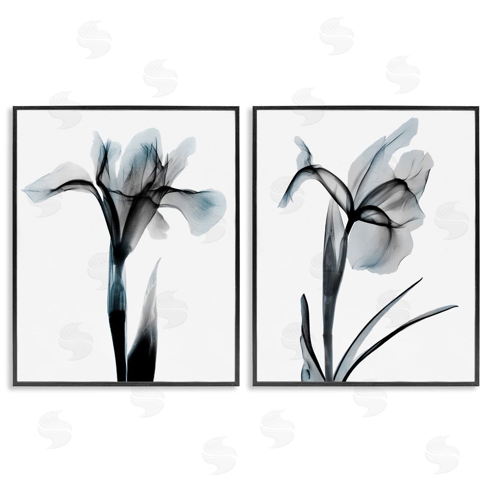 Albert Koetsier Contrast Black & Blue Flowers Black Framed Giclee Wall Art Print