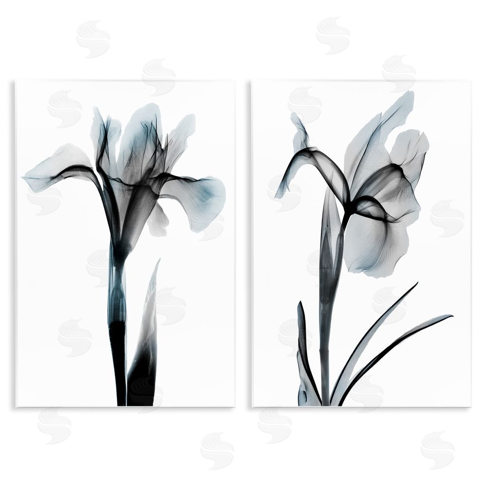 Albert Koetsier Contrast Black & Blue Flowers Wooden Wall Plaque Art Print