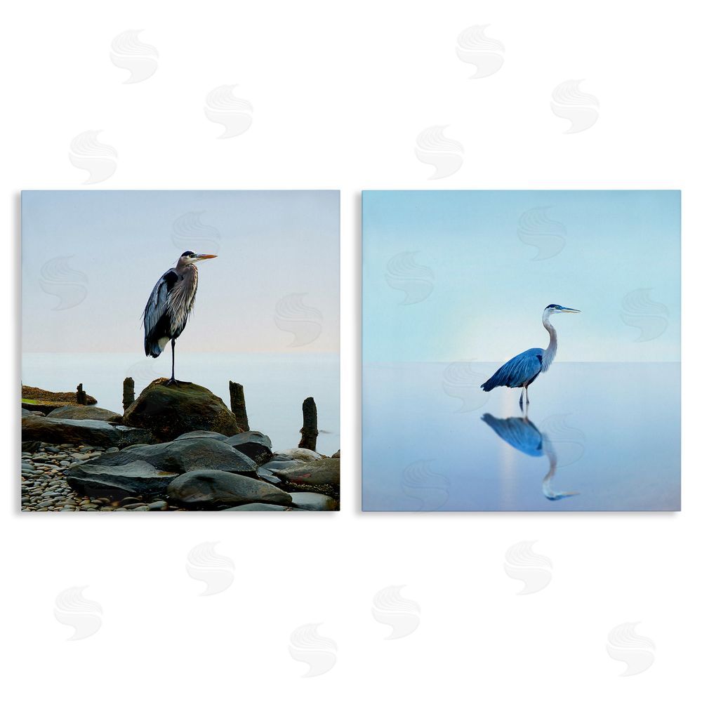 James McLoughlin Beach Heron Ocean Animal Photographs Canvas Wall Art Print