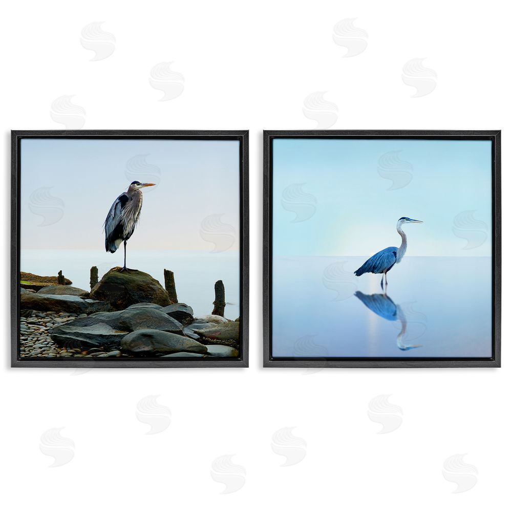 James McLoughlin Beach Heron Ocean Animal Photographs Black Floating Frame Canvas Wall Art Print
