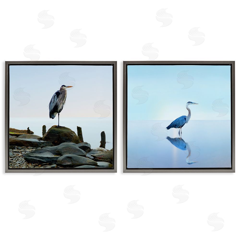 James McLoughlin Beach Heron Ocean Animal Photographs Gray Floating Frame Canvas Wall Art Print