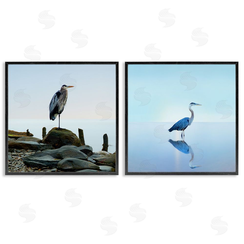 James McLoughlin Beach Heron Ocean Animal Photographs Black Framed Giclee Wall Art Print
