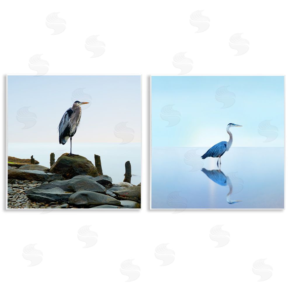 James McLoughlin Beach Heron Ocean Animal Photographs Wooden Wall Plaque Art Print