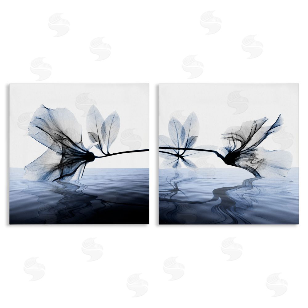 Albert Koetsier Contrast Black & Blue Flower Water Designs Canvas Wall Art Print