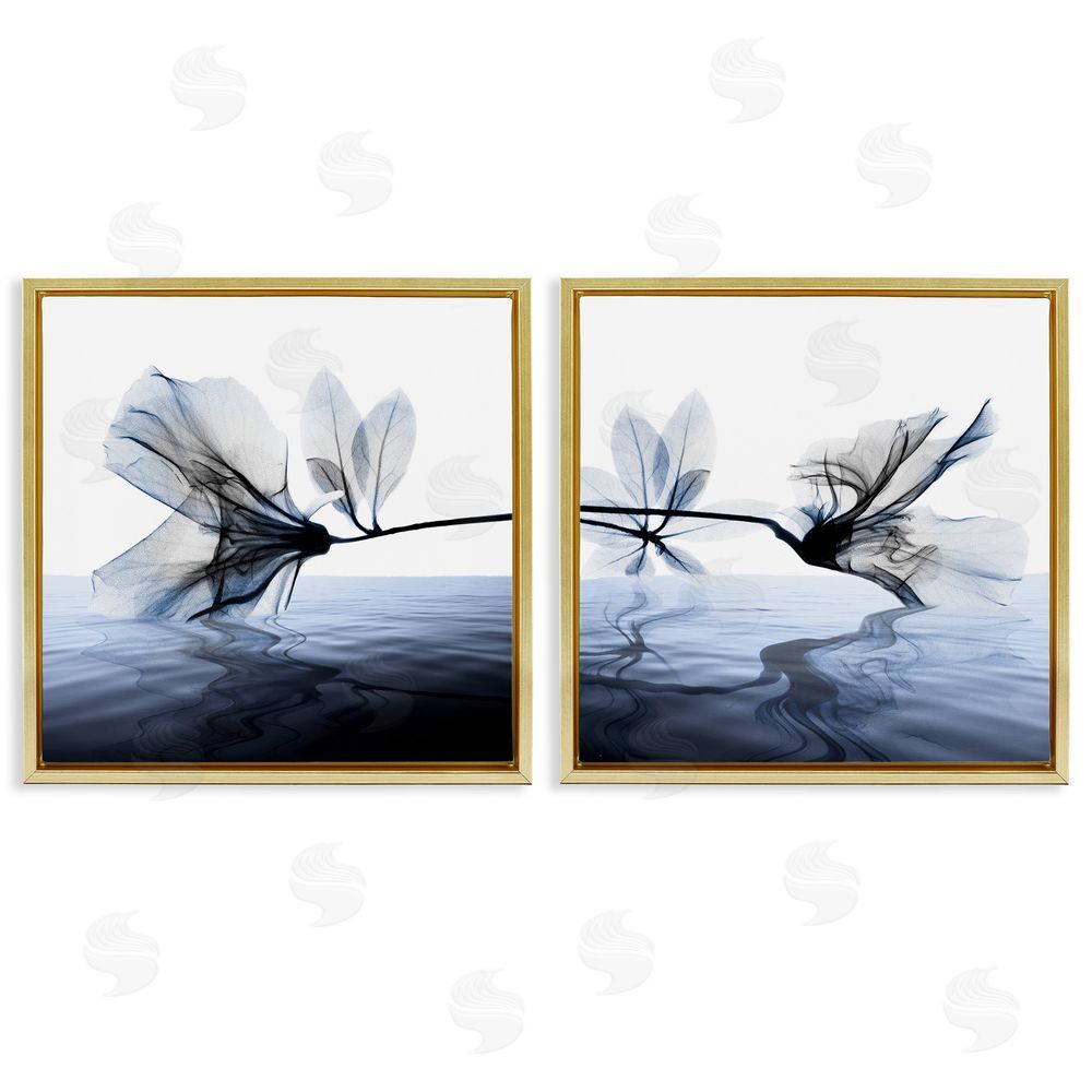 Albert Koetsier Contrast Black & Blue Flower Water Designs Gold Floating Frame Canvas Wall Art Print