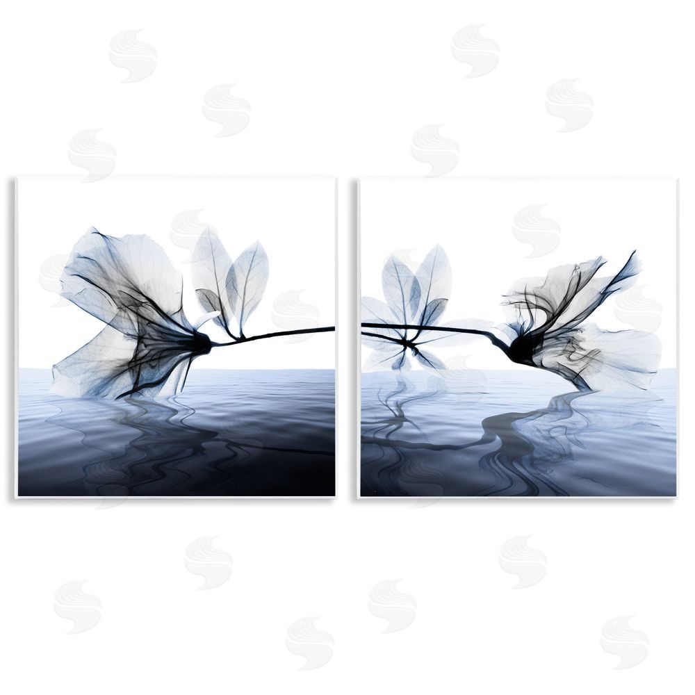 Albert Koetsier Contrast Black & Blue Flower Water Designs Wooden Wall Plaque Art Print