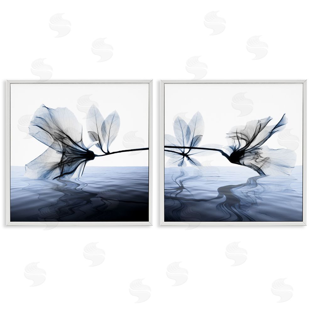 Albert Koetsier Contrast Black & Blue Flower Water Designs White Framed Giclee Wall Art Print