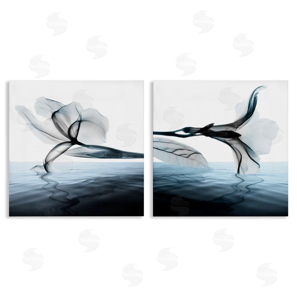 Albert Koetsier Contrast Black & Blue Blooms Canvas Wall Art Print