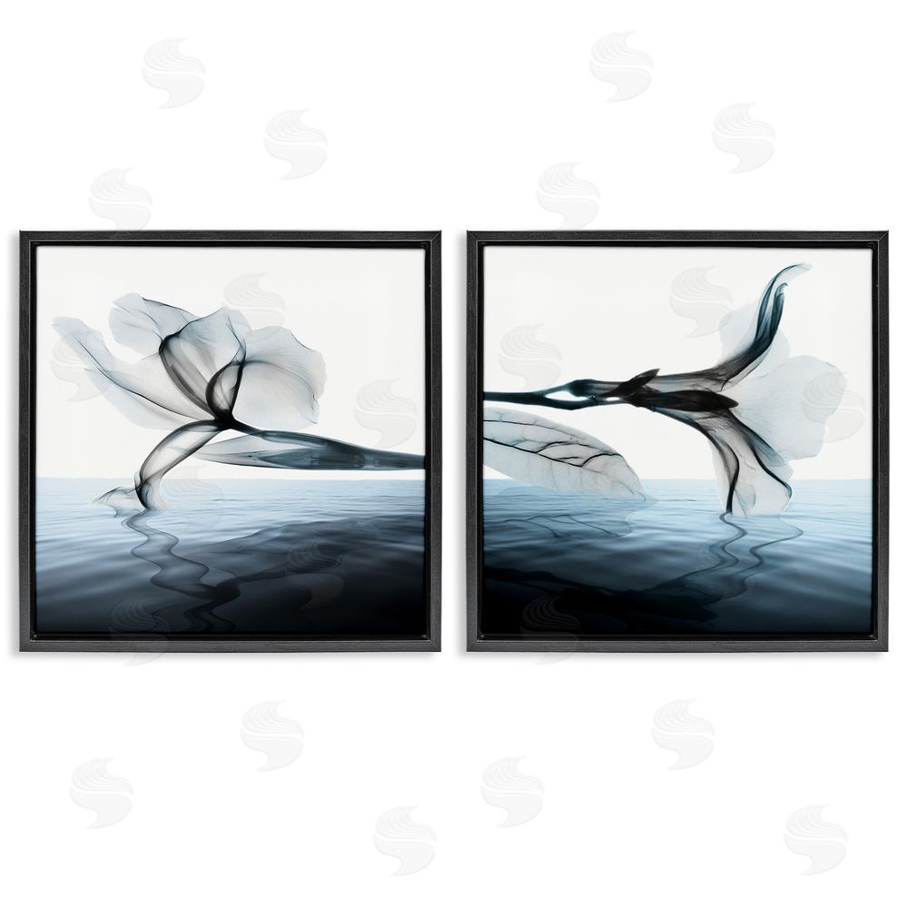 Albert Koetsier Contrast Black & Blue Blooms Black Floating Frame Canvas Wall Art Print