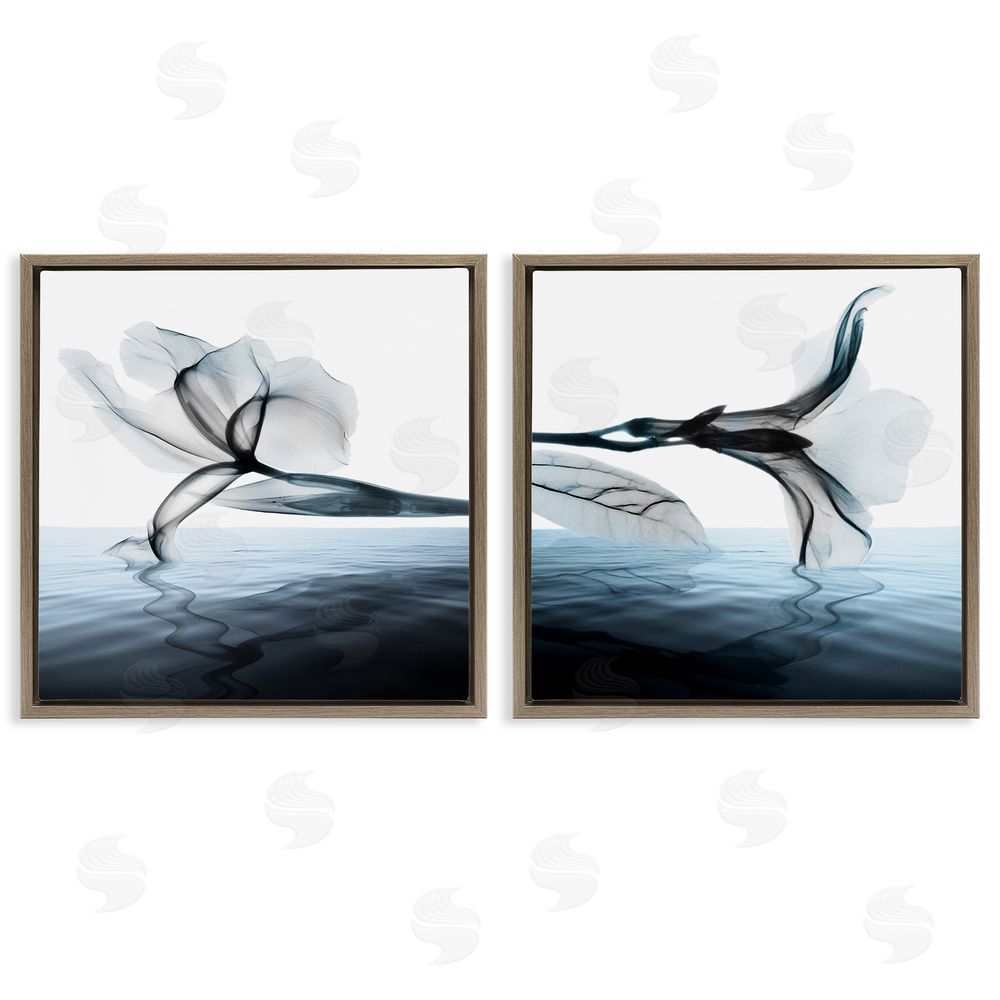 Albert Koetsier Contrast Black & Blue Blooms Brown Floating Frame Canvas Wall Art Print