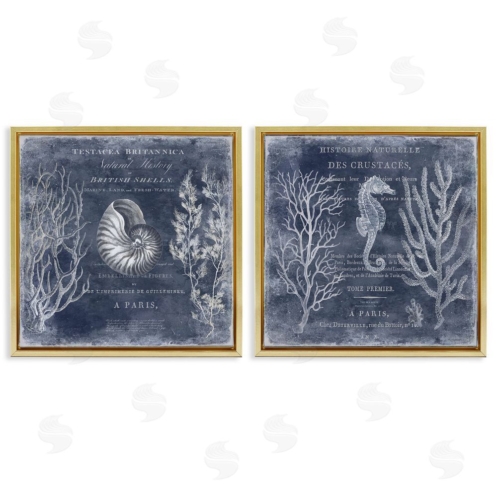 Deborah Devellier Vintage European Shells & Seahorse Gold Floating Frame Canvas Wall Art Print