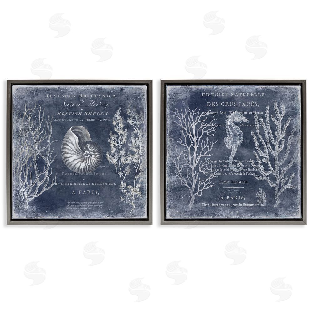 Deborah Devellier Vintage European Shells & Seahorse Gray Floating Frame Canvas Wall Art Print
