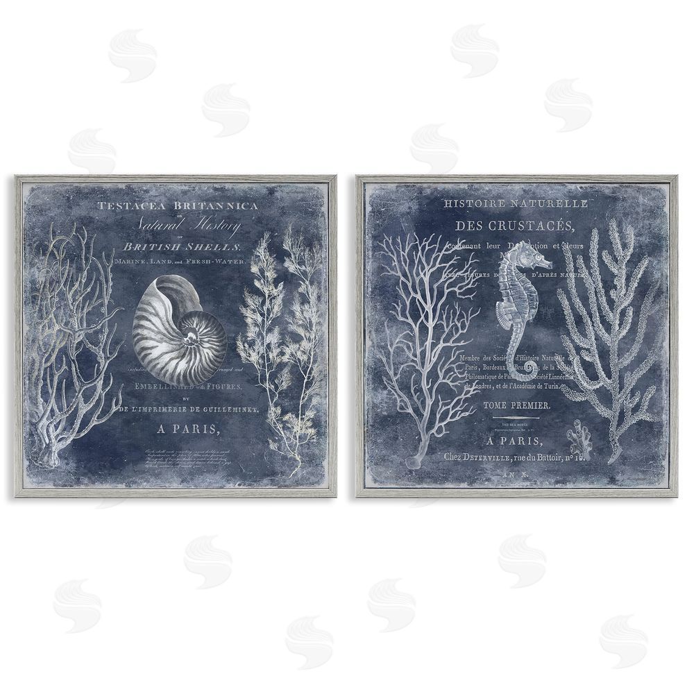 Deborah Devellier Vintage European Shells & Seahorse Gray Framed Giclee Wall Art Print
