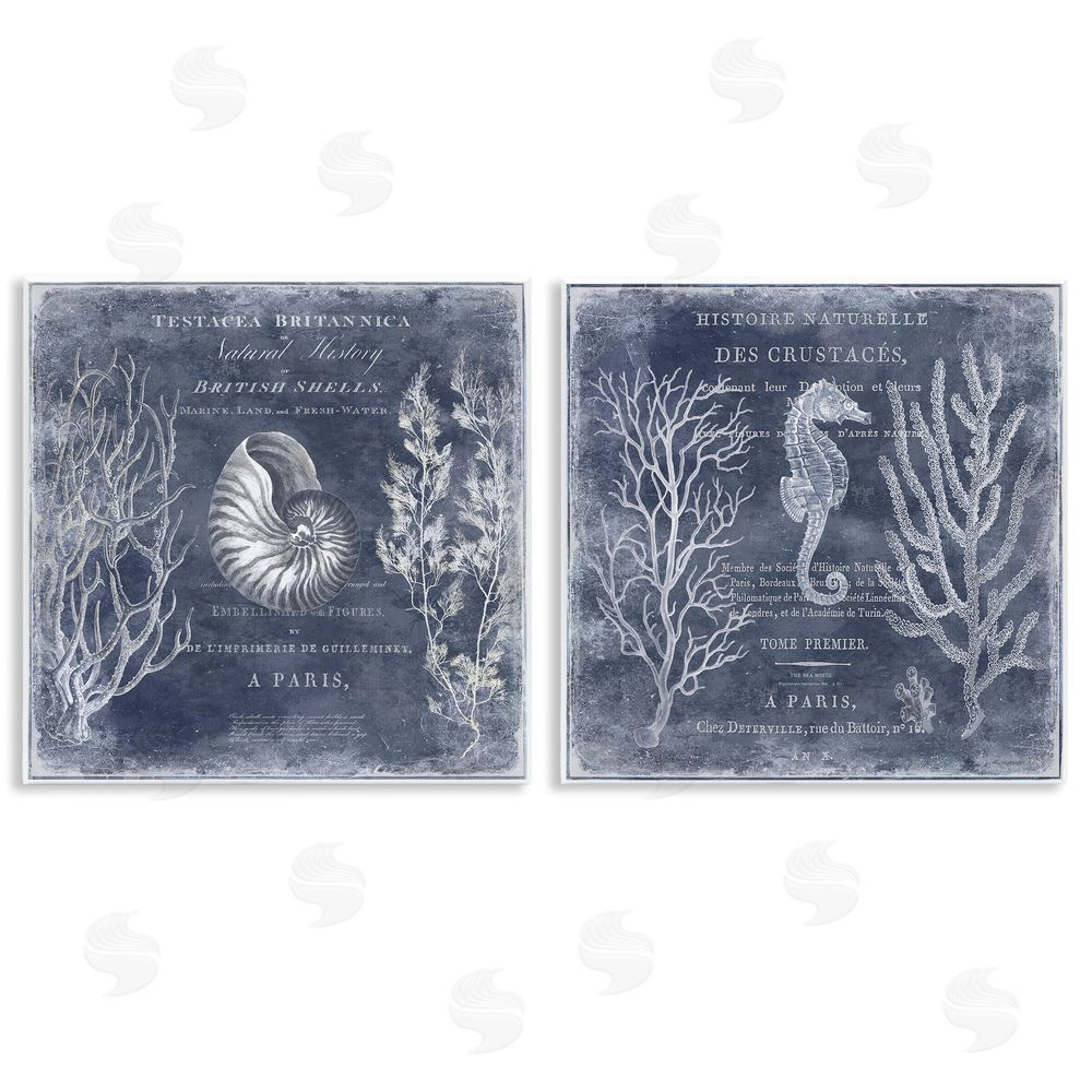 Deborah Devellier Vintage European Shells & Seahorse Wooden Wall Plaque Art Print
