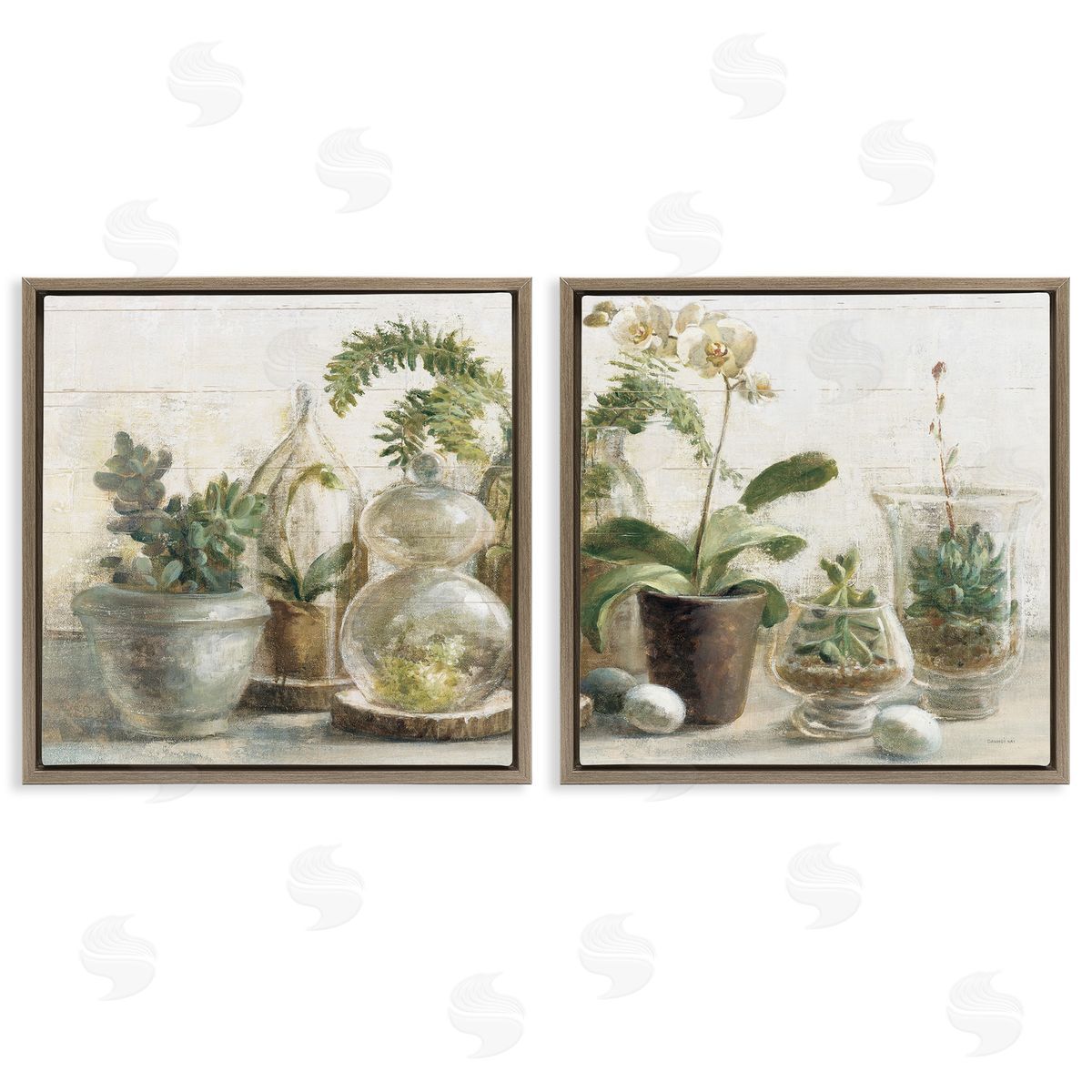 Succulent House Plants Country Charm Brown Floating Frame Canvas Wall Art, Home Decor by Danhui Nai