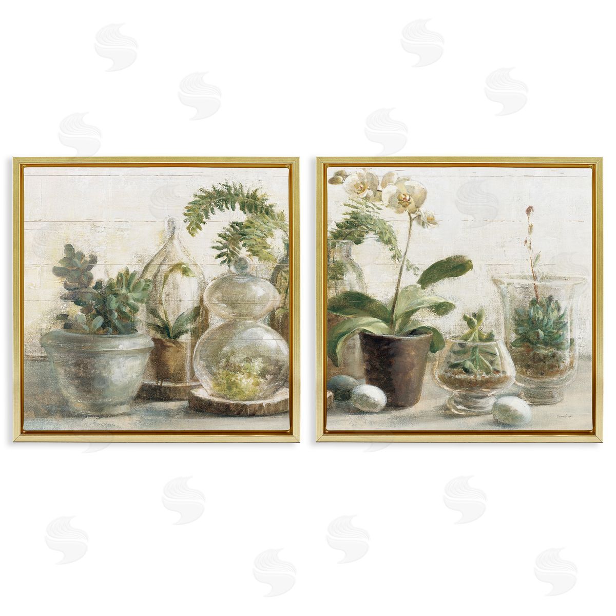 Succulent House Plants Country Charm Gold Floating Frame Canvas Wall Art, Home Decor by Danhui Nai