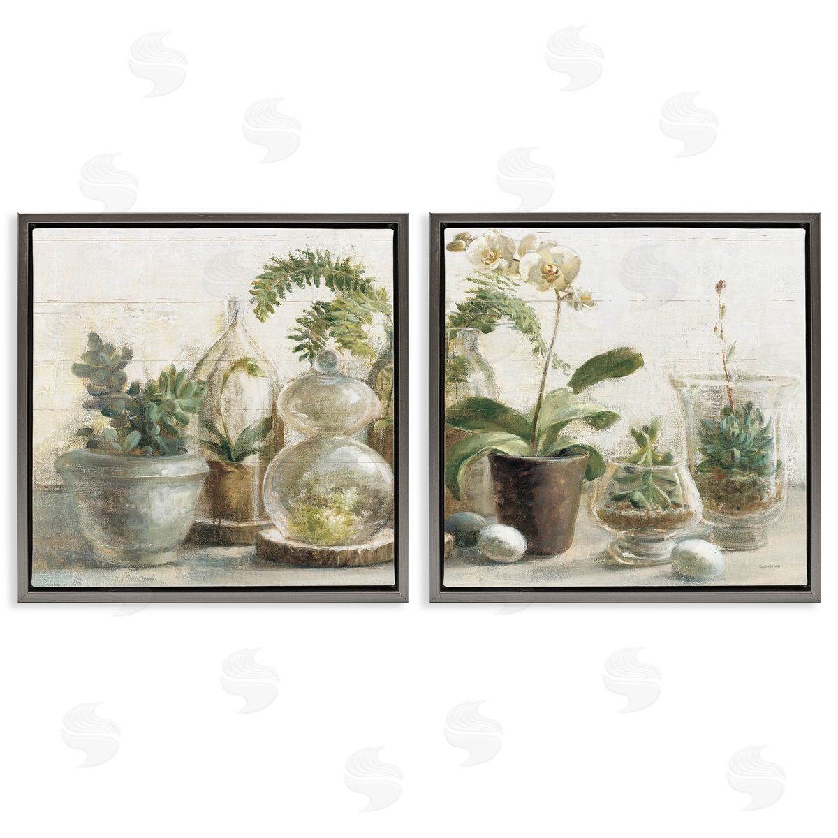 Succulent House Plants Country Charm Grey Floating Frame Canvas Wall Art, Home Decor by Danhui Nai