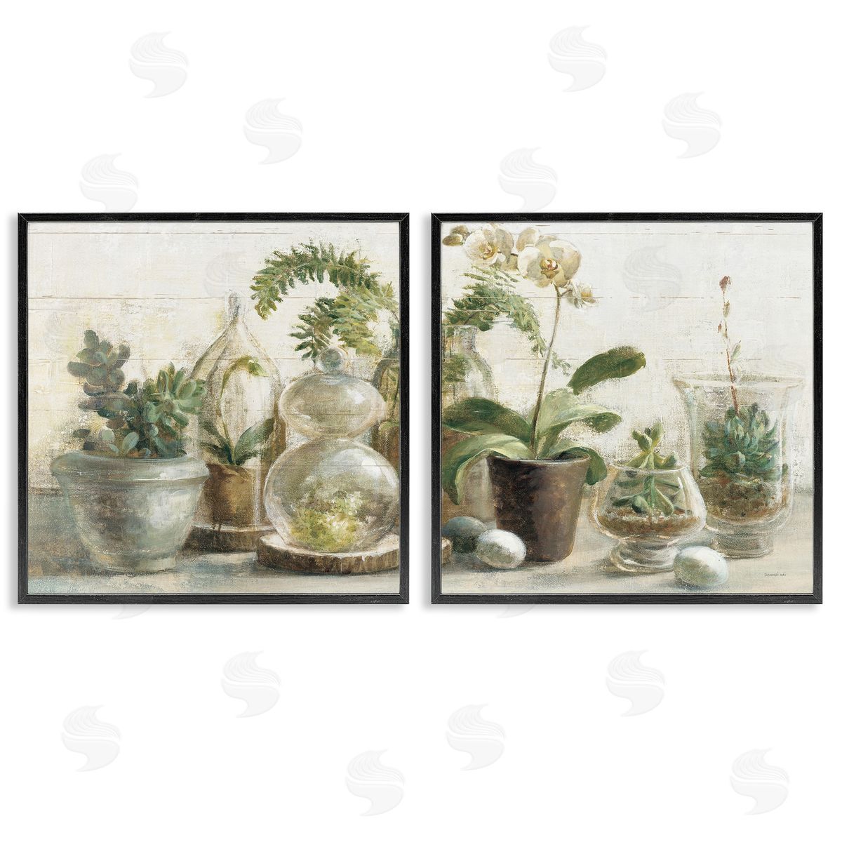 Succulent House Plants Country Charm Black Frame Print Wall Art, Home Decor by Danhui Nai