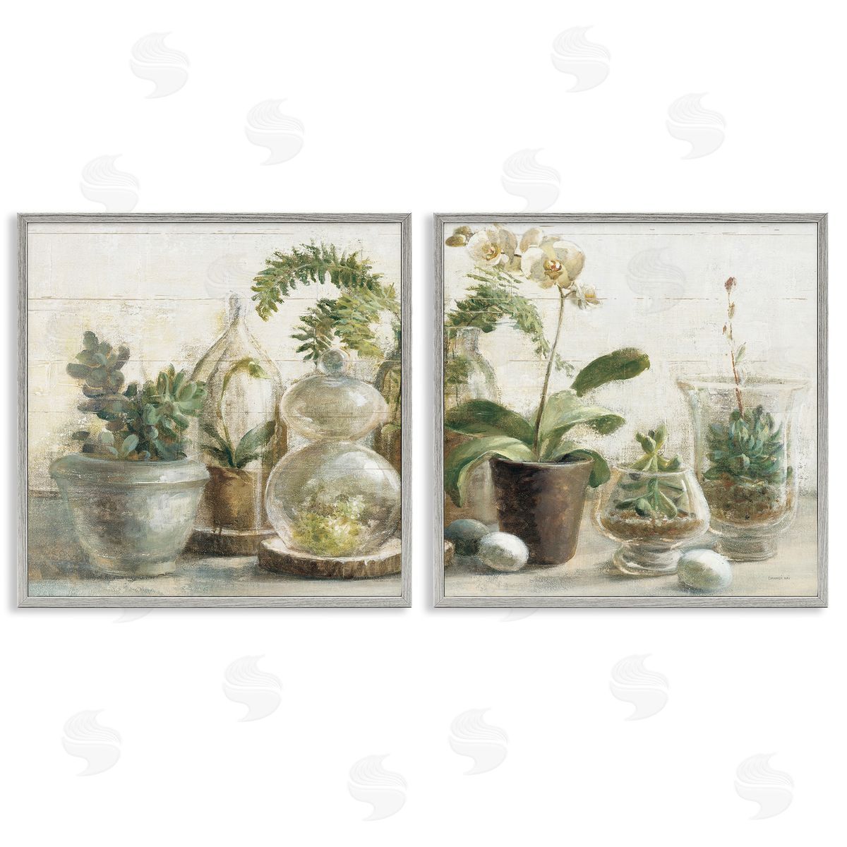 Succulent House Plants Country Charm Grey Frame Print Wall Art, Home Decor by Danhui Nai