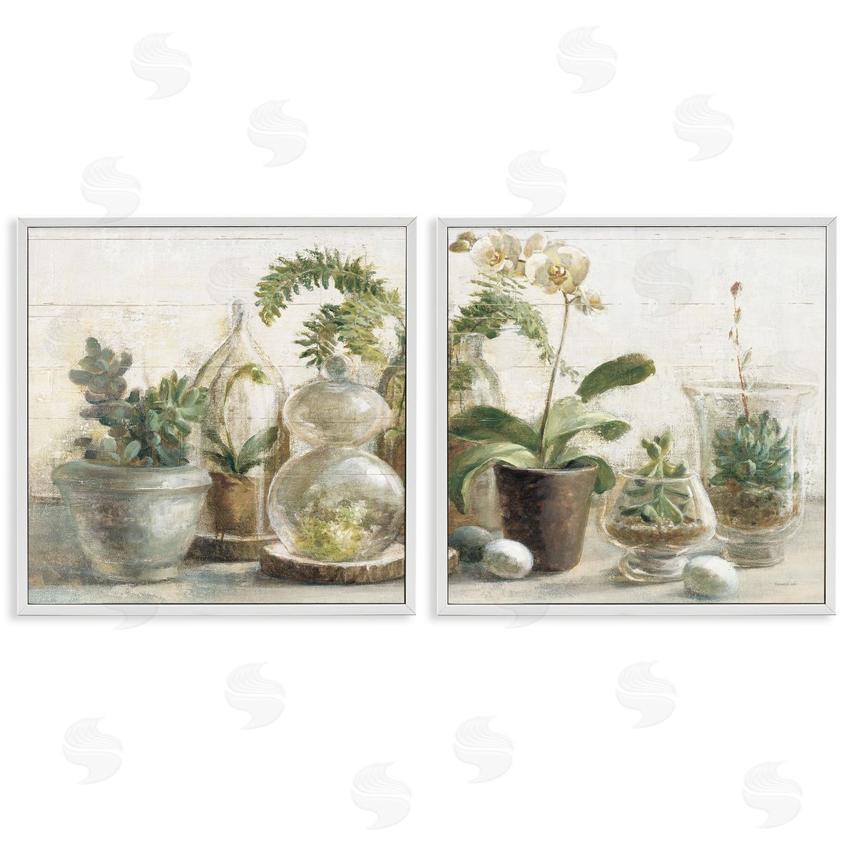 Succulent House Plants Country Charm White Frame Print Wall Art, Home Decor by Danhui Nai