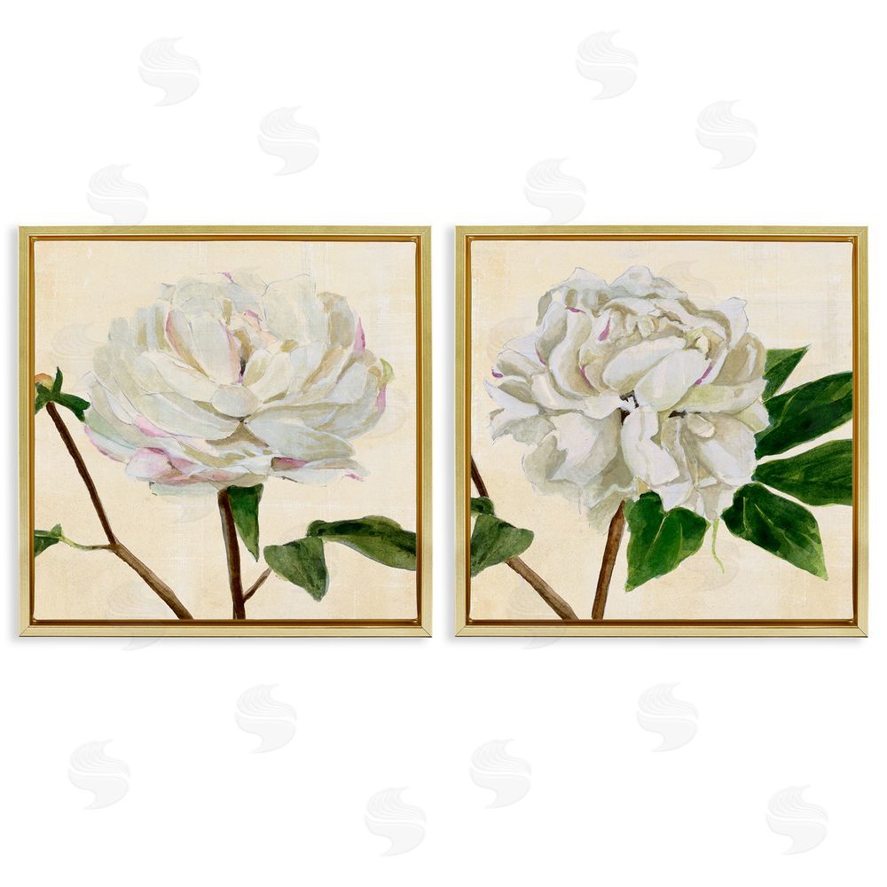 Annie Warren White Peonies with Pink Petal Details Gold Floating Frame Canvas Wall Art Print