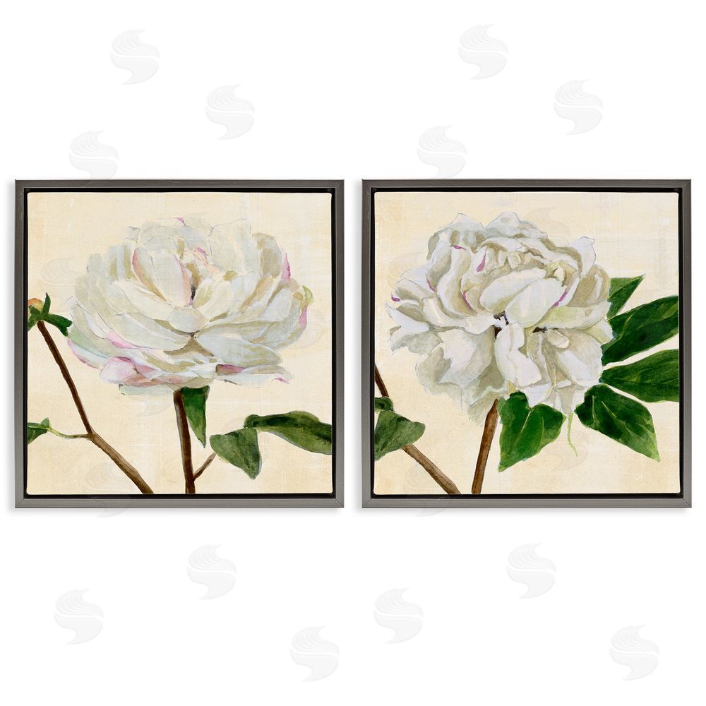 Annie Warren White Peonies with Pink Petal Details Gray Floating Frame Canvas Wall Art Print