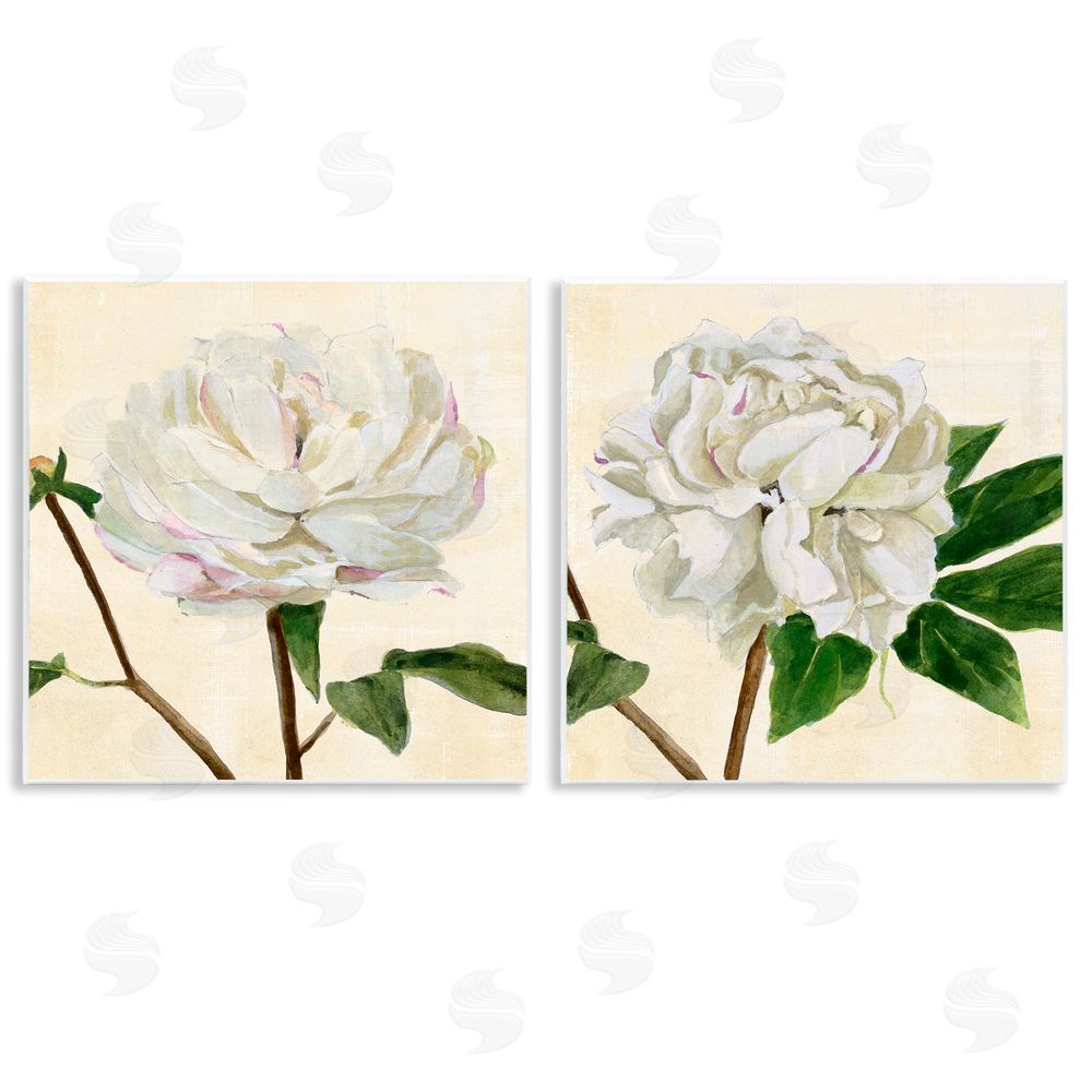 Annie Warren White Peonies with Pink Petal Details Wooden Wall Plaque Art Print