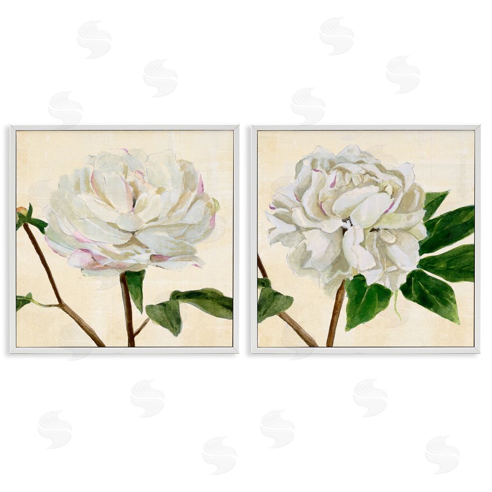 Annie Warren White Peonies with Pink Petal Details White Framed Giclee Wall Art Print