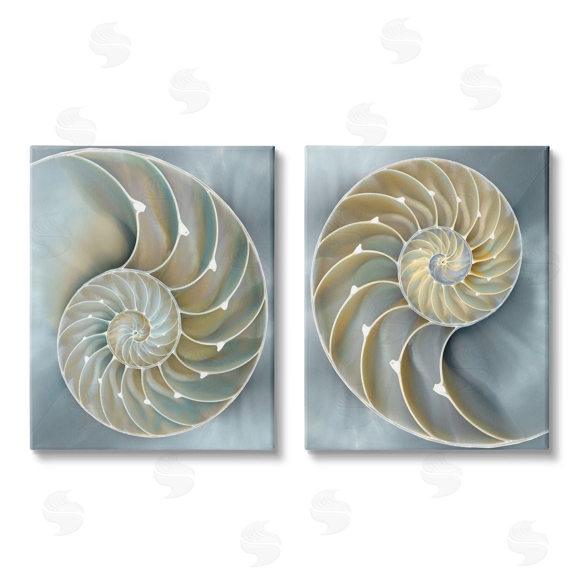 Caroline Kelly Intricate Nautilus Interior Natural Geometric Canvas Wall Art Print