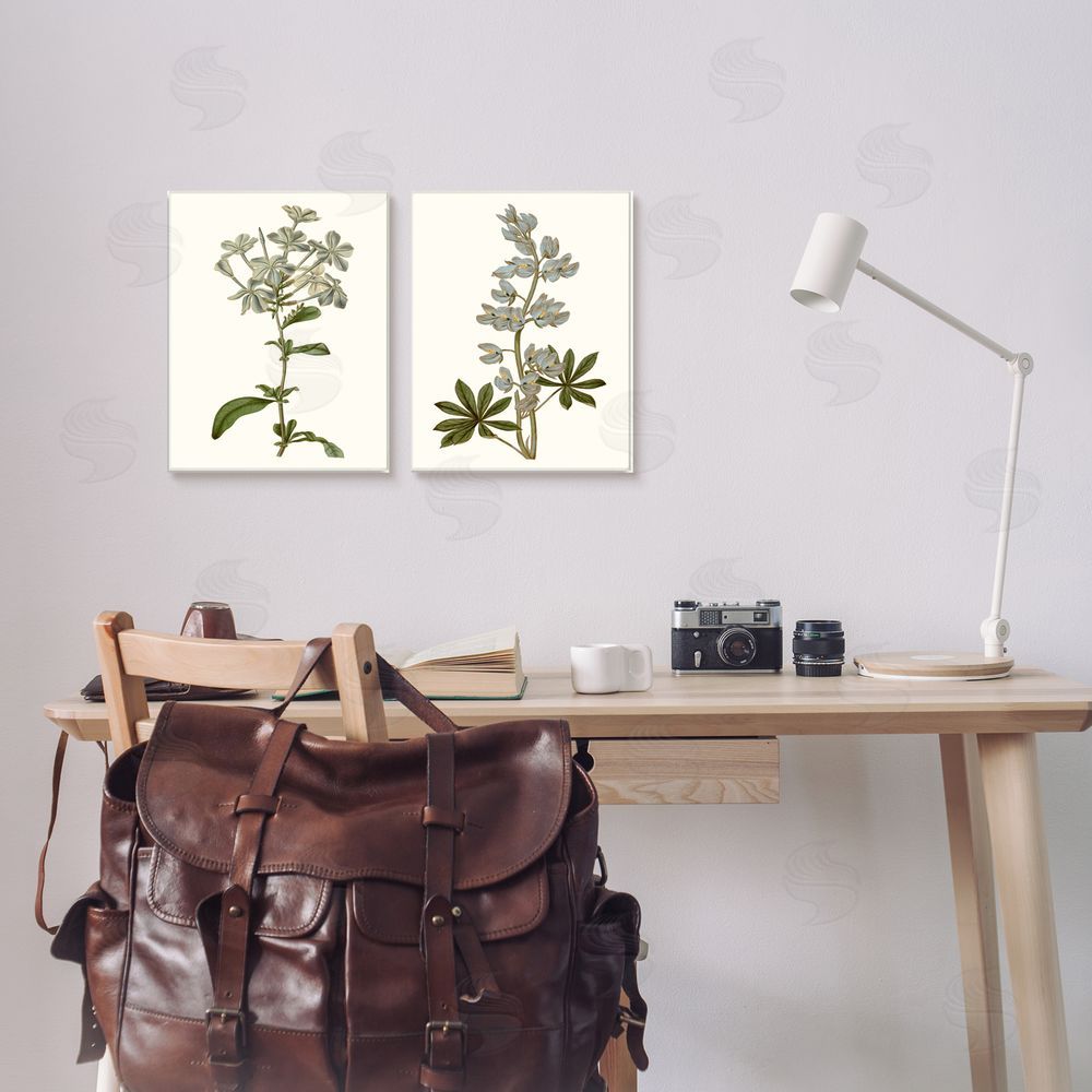 Curtis Vintage Illustrated Study of Blue Botanicals Canvas Wall Art Print in Room