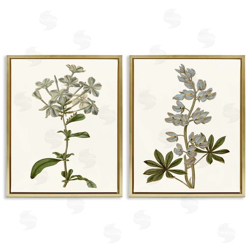 Curtis Vintage Illustrated Study of Blue Botanicals Gold Floating Frame Canvas Wall Art Print