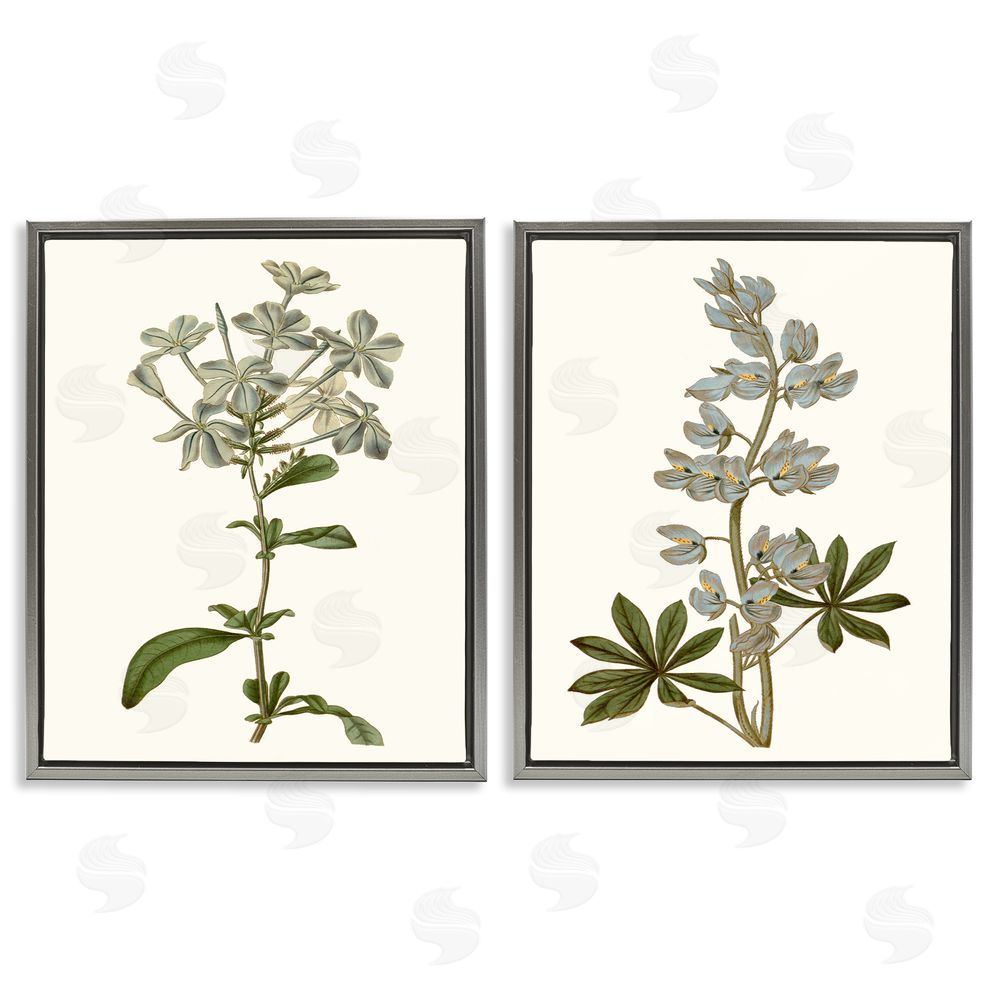 Curtis Vintage Illustrated Study of Blue Botanicals Gray Floating Frame Canvas Wall Art Print