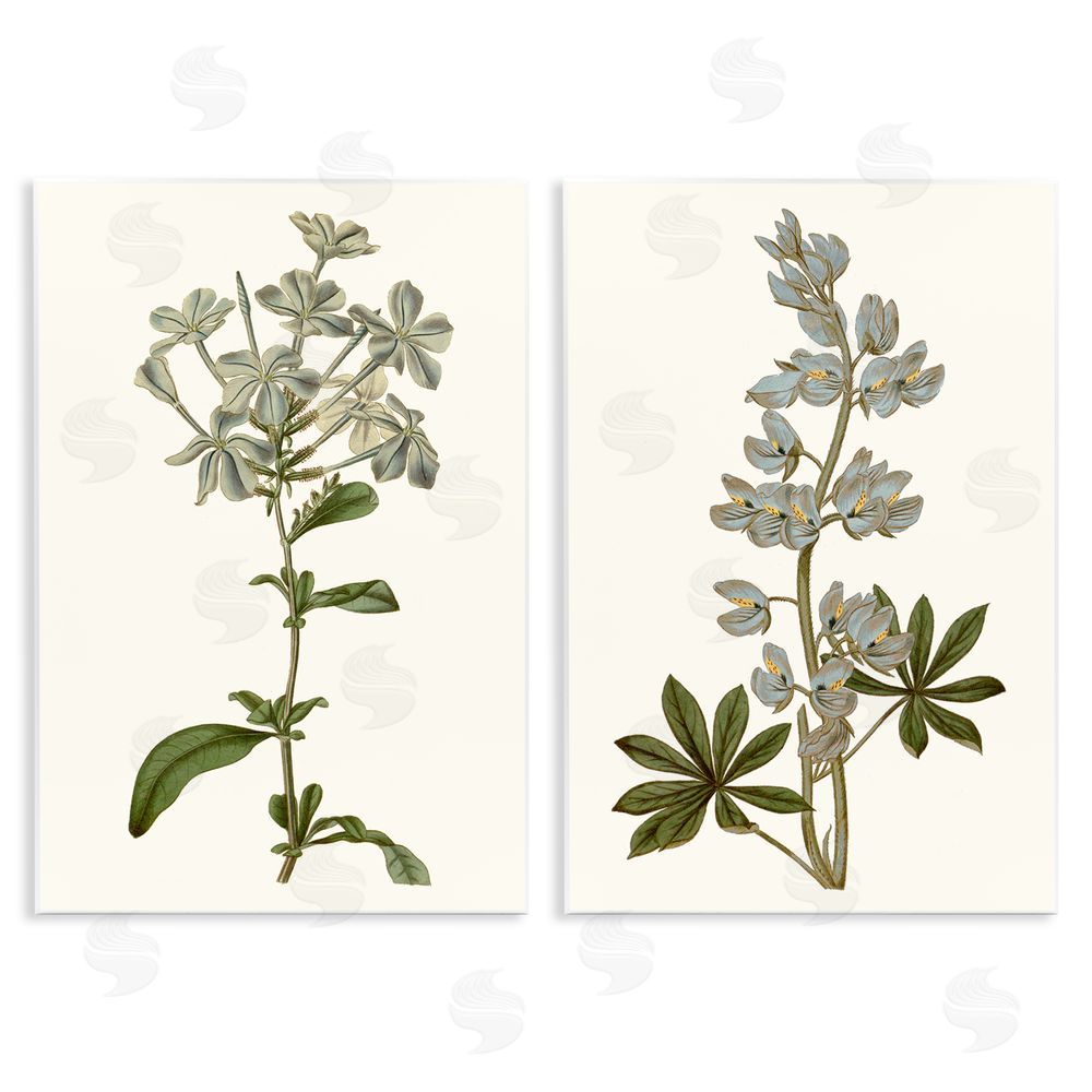 Curtis Vintage Illustrated Study of Blue Botanicals Wooden Wall Plaque Art Print