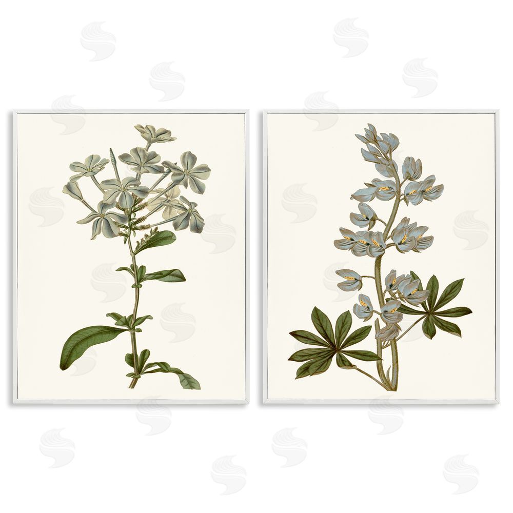 Curtis Vintage Illustrated Study of Blue Botanicals White Framed Giclee Wall Art Print