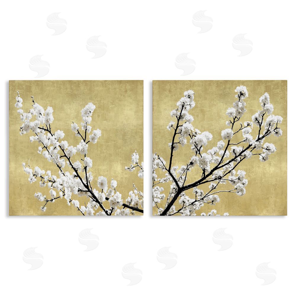 Kate Bennett White Cherry Blossom Branches over Neutral Canvas Wall Art Print