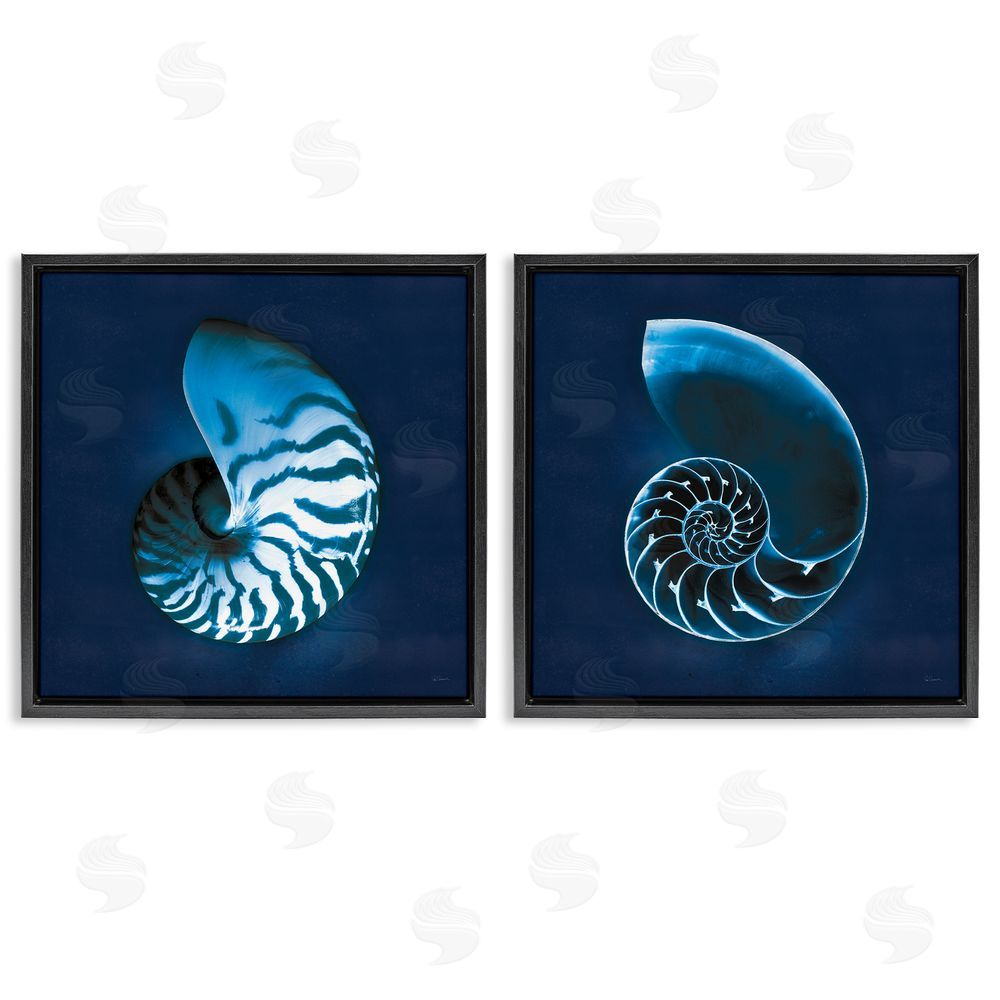 Sue Schlabach Blue Spiral Nautilus Shell with Pattern Black Floating Frame Canvas Wall Art Print
