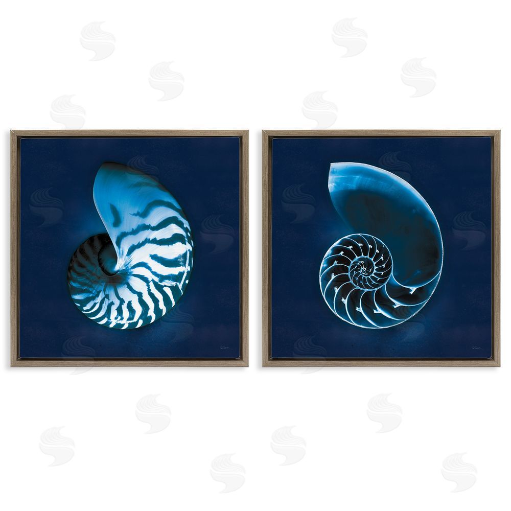 Sue Schlabach Blue Spiral Nautilus Shell with Pattern Brown Floating Frame Canvas Wall Art Print