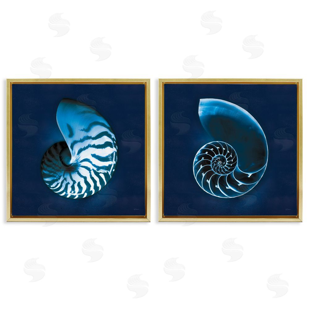 Sue Schlabach Blue Spiral Nautilus Shell with Pattern Gold Floating Frame Canvas Wall Art Print
