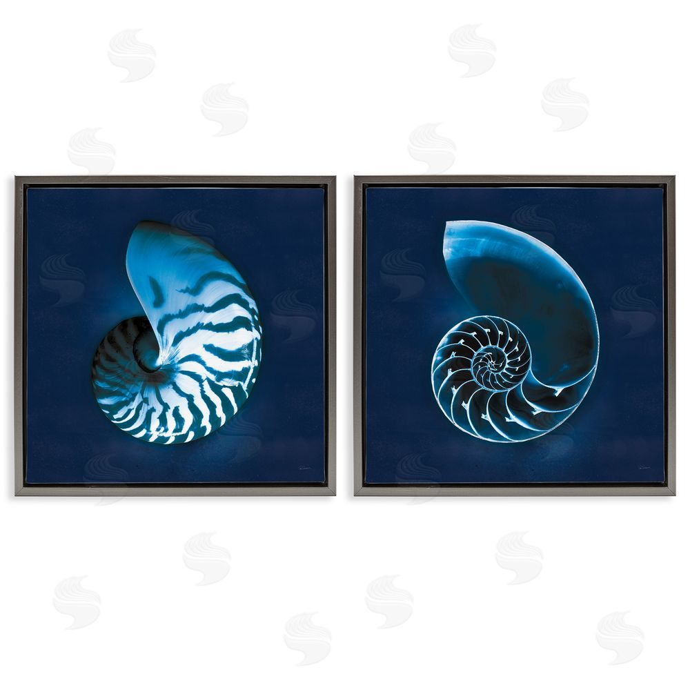 Sue Schlabach Blue Spiral Nautilus Shell with Pattern Gray Floating Frame Canvas Wall Art Print