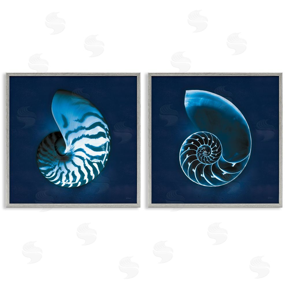 Sue Schlabach Blue Spiral Nautilus Shell with Pattern Gray Framed Giclee Wall Art Print