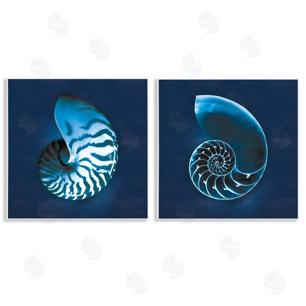 Sue Schlabach Blue Spiral Nautilus Shell with Pattern Wooden Wall Plaque Art Print