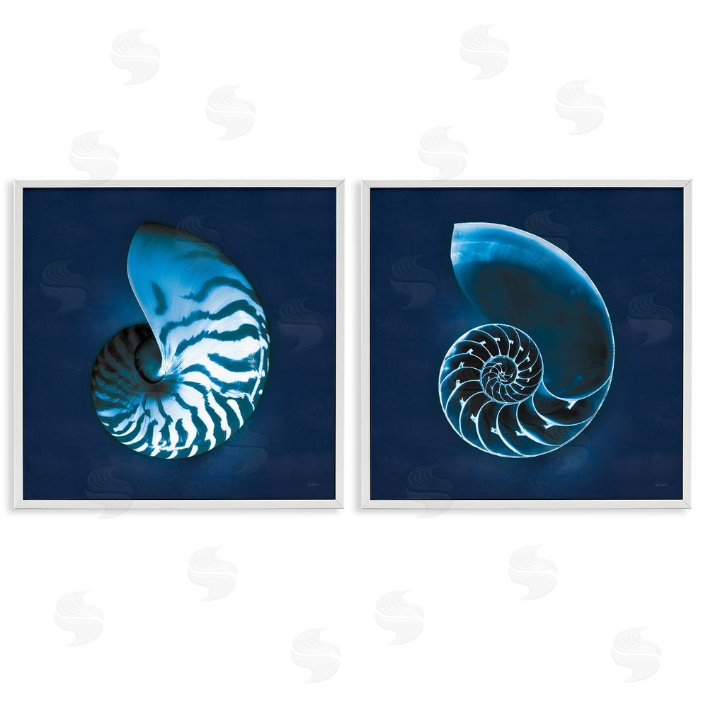 Sue Schlabach Blue Spiral Nautilus Shell with Pattern White Framed Giclee Wall Art Print