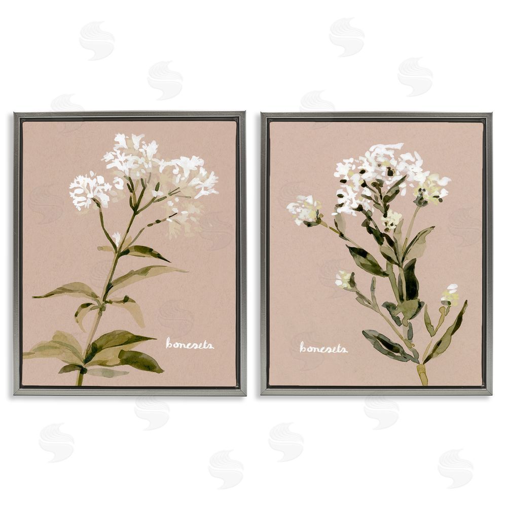 Emma Caroline White Boneset Flowers Soft Palette Gray Floating Frame Canvas Wall Art Print