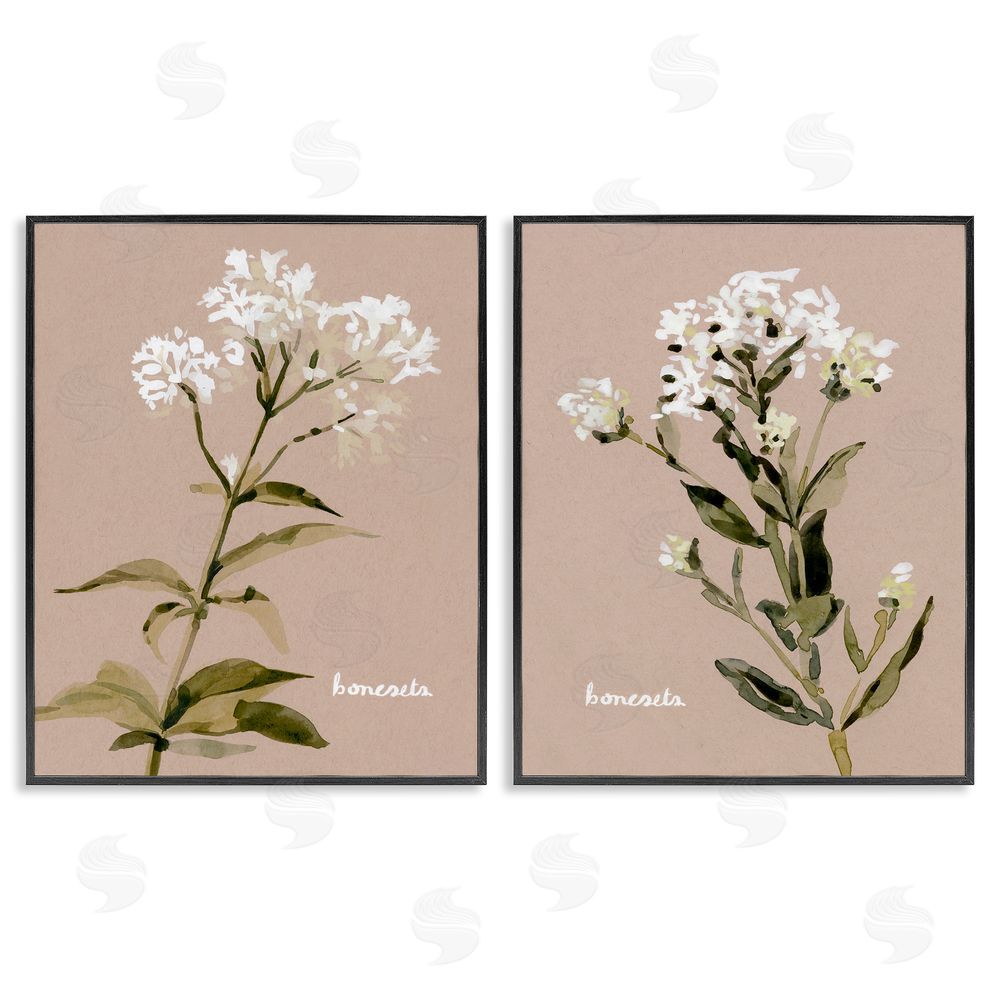 Emma Caroline White Boneset Flowers Soft Palette Black Framed Giclee Wall Art Print