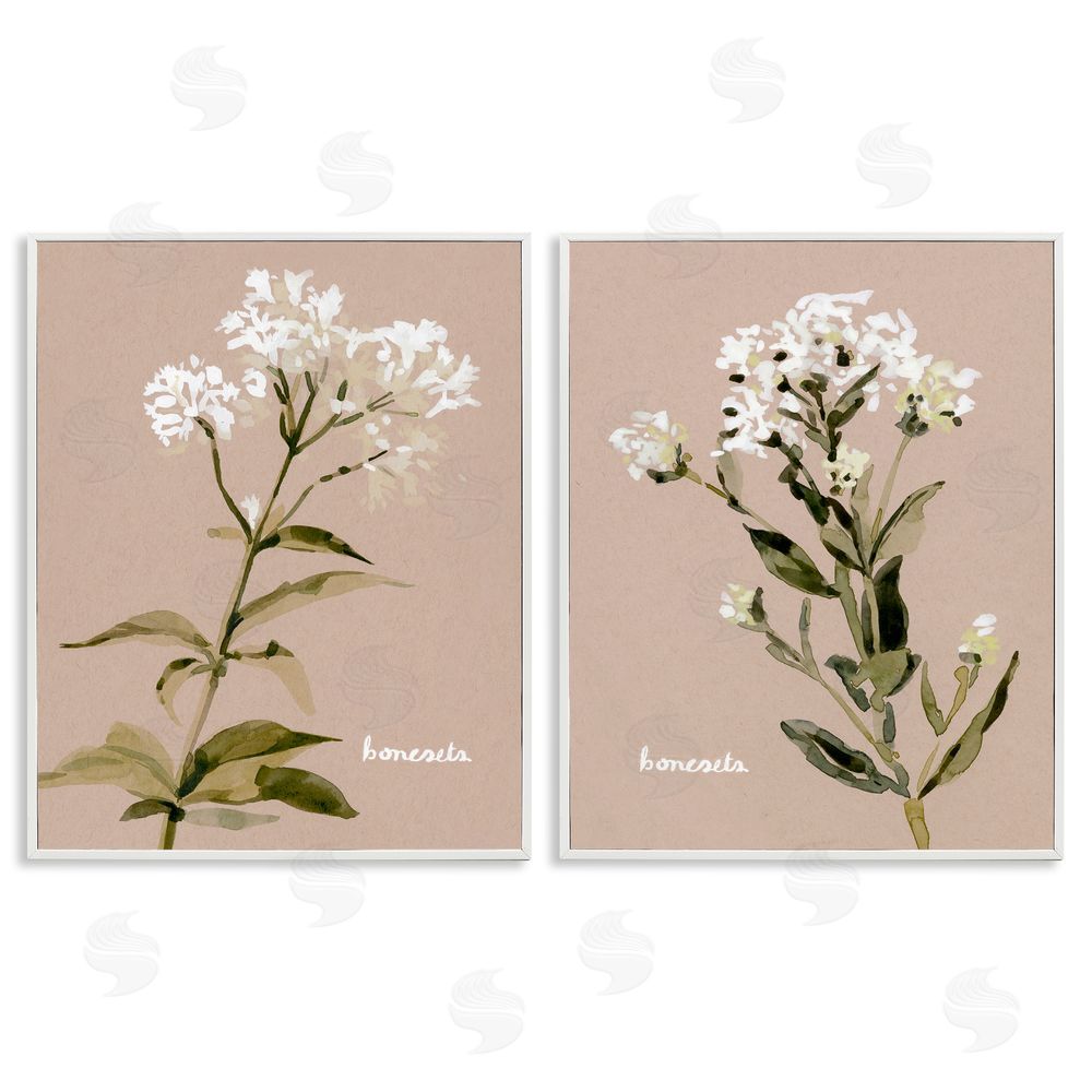Emma Caroline White Boneset Flowers Soft Palette White Framed Giclee Wall Art Print