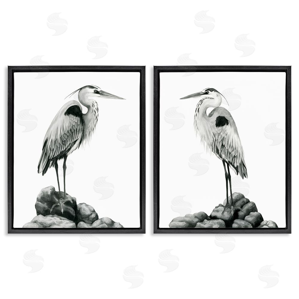 Grace Popp Great Herons Standing Rocks Bird Portraits Black Floating Frame Canvas Wall Art Print